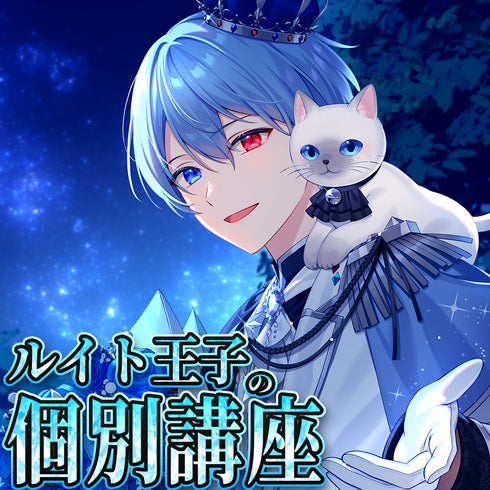 王子と一緒に学ぼう!VNアプリ操作講座【動画教材/全5〜6本】 \蒼居ルイトが君の先生?!/ スマホ1つで動画編集、なんて素晴らしい時代!